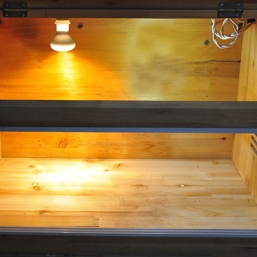 Regulator temperatury do grzej – Basking Bulb Halogen recenzja i cena