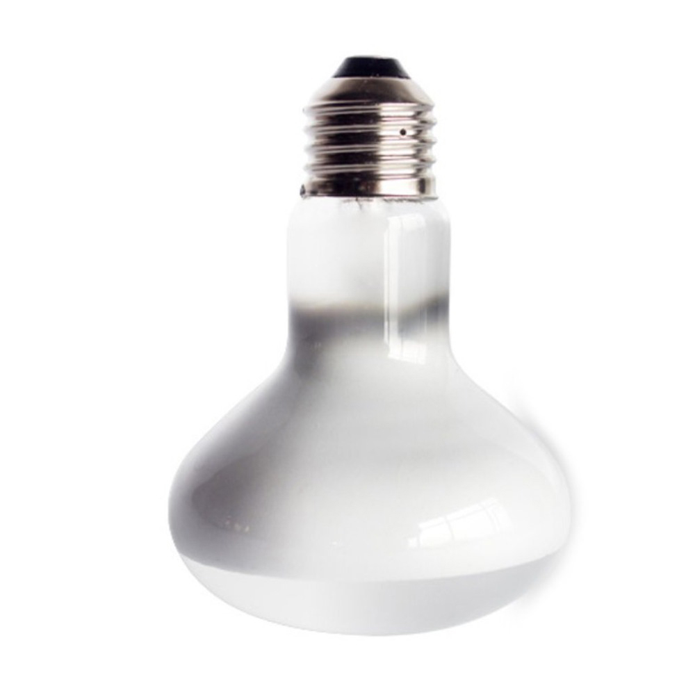 Regulator temperatury do grzej – Basking Bulb Halogen recenzja i cena