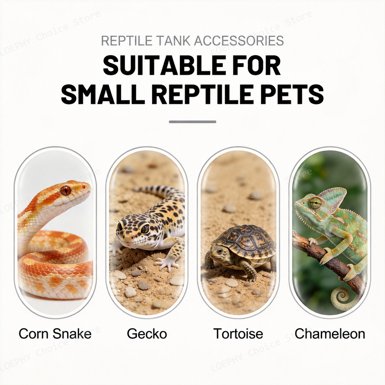 Kamienna miska na wodę dla gad – Water Dish Reptile recenzja i cena