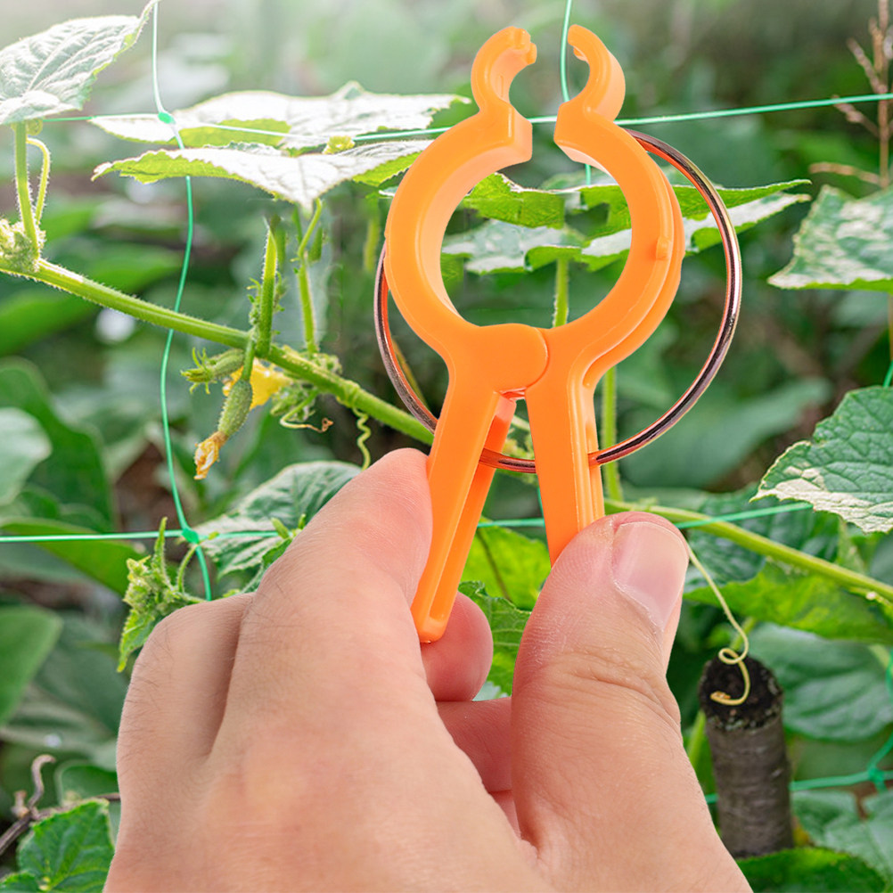 10 szt. Klipsy do mocowania ro – Vine Climbing Plastic recenzja i cena