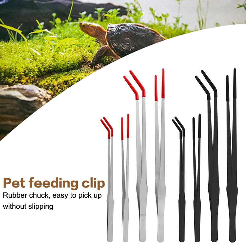 Szczypce do karmienia gadów ze – Feeding Tong Stainless recenzja i cena