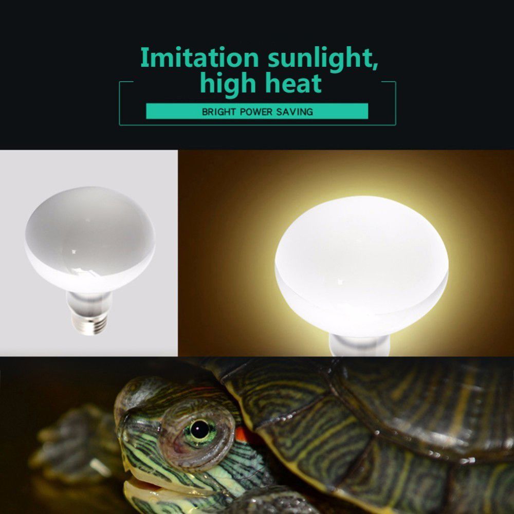 Regulator temperatury lampy gr – Basking Bulb Halogen recenzja i cena
