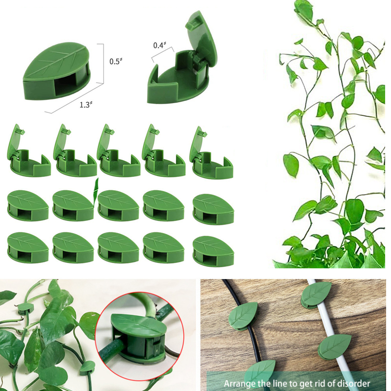 Niewidoczna roślina wspinaczko – Vine Climbing Plastic recenzja i cena