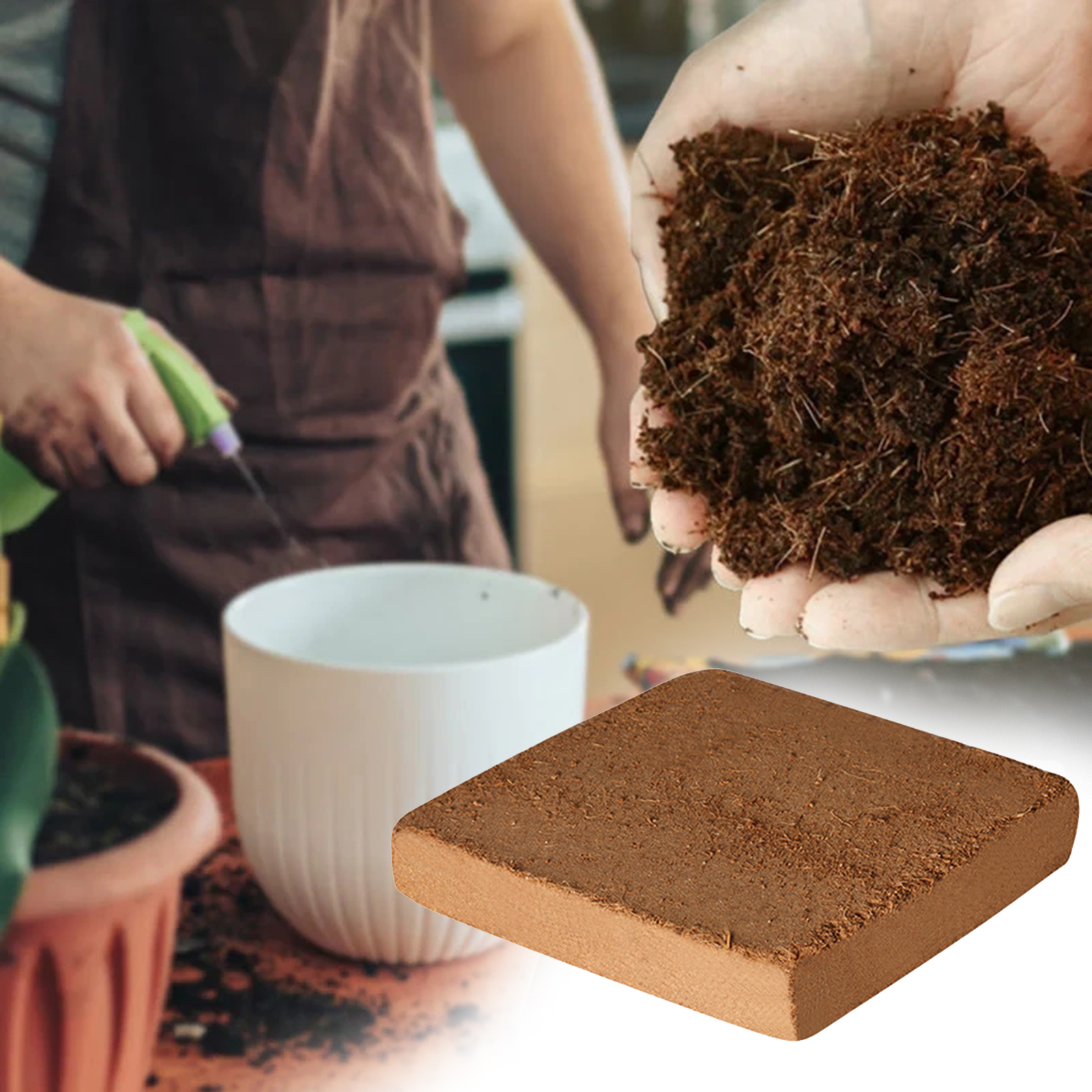 Substrat do terrarium z włókna – Substrate Coconut Fiber recenzja i cena