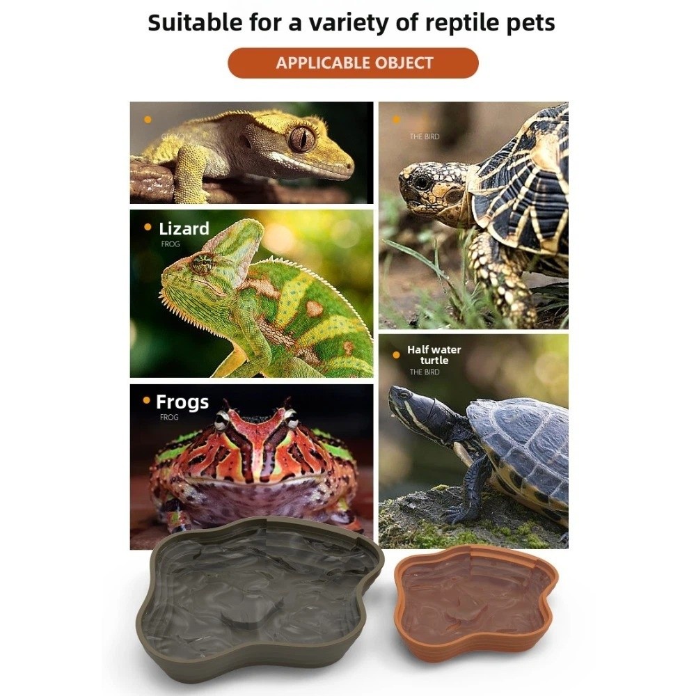 Nowa plastikowa misa na wodę d – Water Dish Reptile recenzja i cena