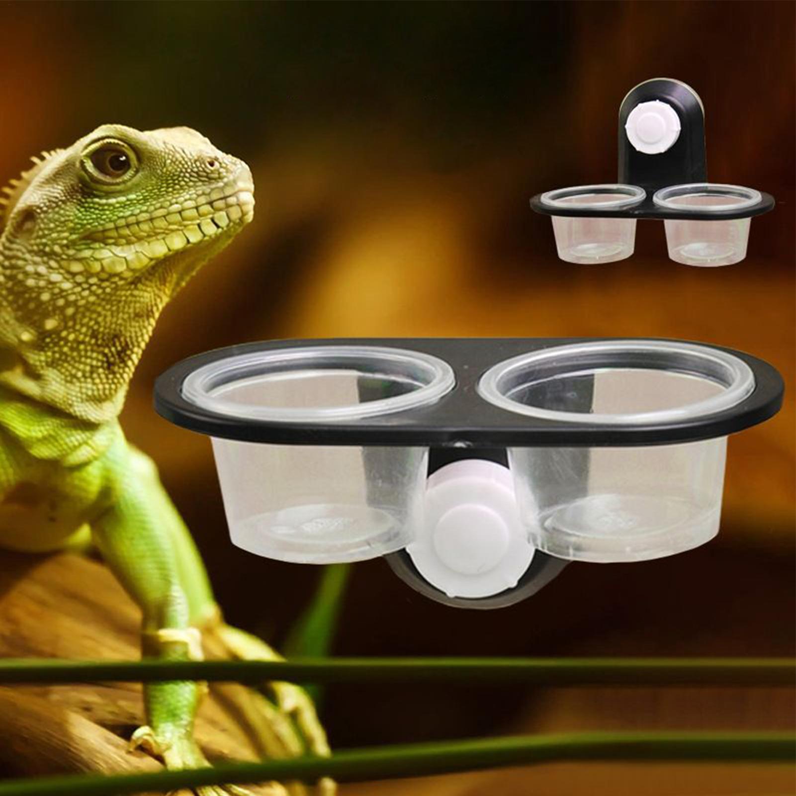 Miska na karmę dla gekonów, mi – Water Dish Reptile recenzja i cena