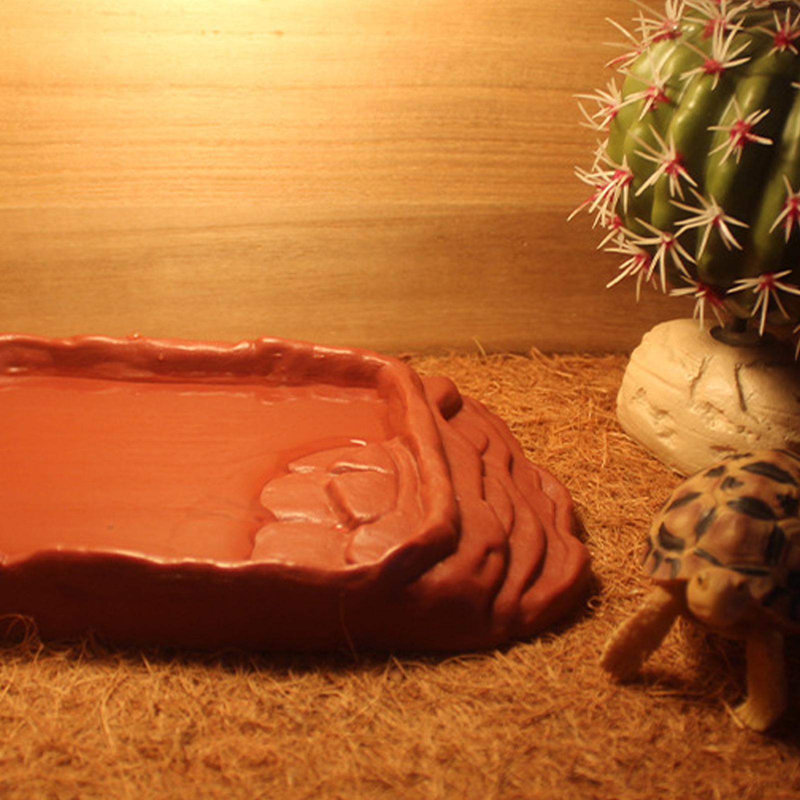 Wanna dla żółwia, miska na wod – Water Dish Reptile recenzja i cena